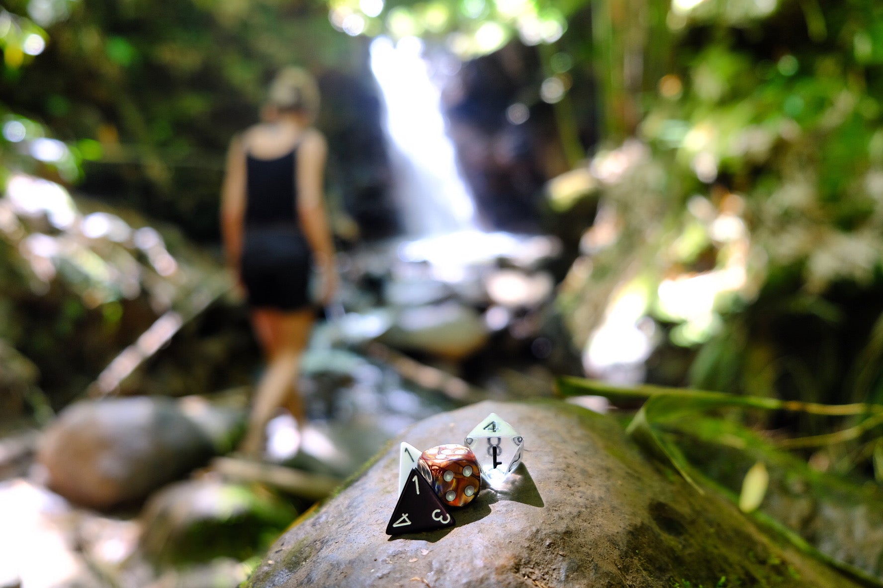 Playheart dice resting on a rock beside a forest stream
